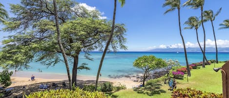 ocean front lawn area