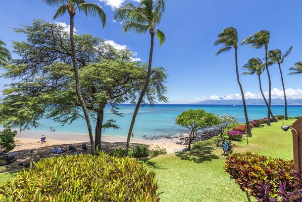 ocean front lawn area