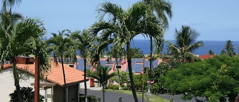 View from Lanai