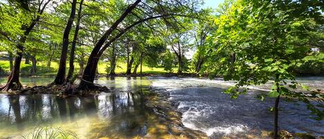 Guadalupe River!