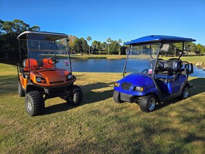 2 Golf Carts Included!