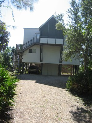 Driveway and back yard