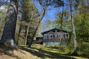 Great cabin painted in classic "national forest brown" and surrounded by trees