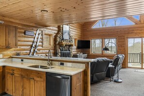 Kitchen / Living Area
