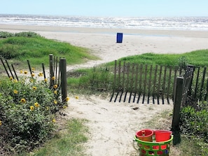 Strand
