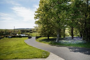 Driveway from house, with spring bluebells