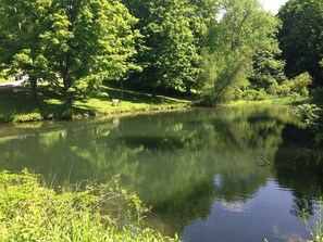 Skating pond, fishing-lots of fish, turtles,ducks no swimming