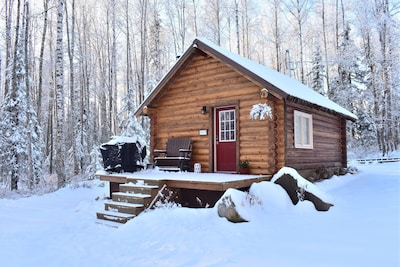 Comfy Cabin Nestled in the Woods