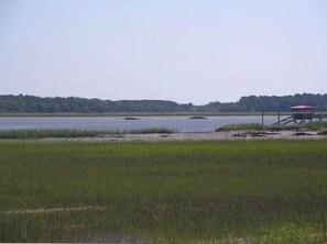 View from dock down Whale Branch River