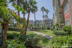 steps to the pool from the patio gate