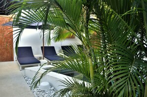 Terras