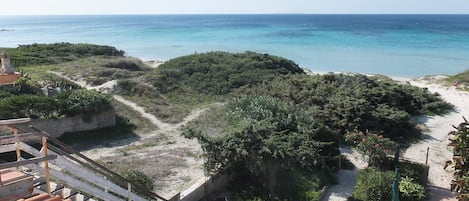 Vue sur la plage ou l’océan