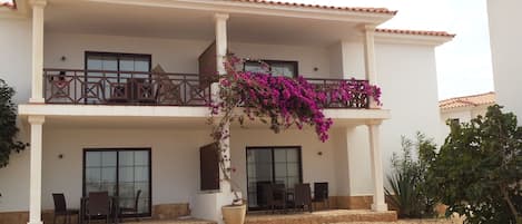 The  first floor Apartment 
with the pink  flowers 