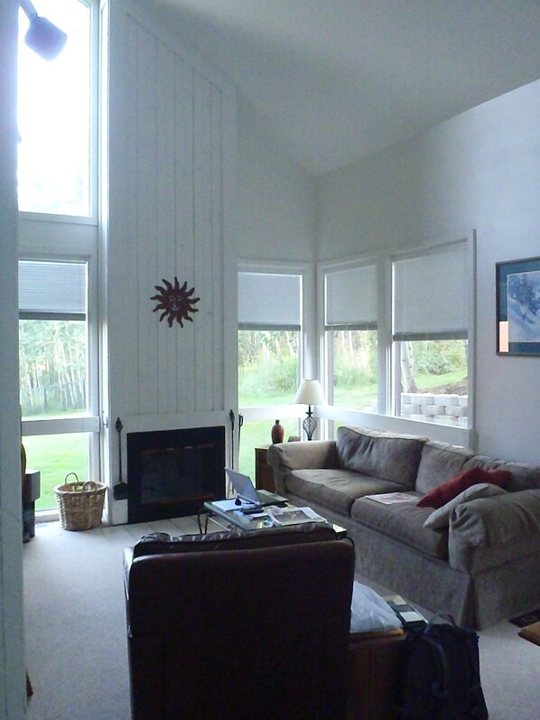 Living room with fireplace