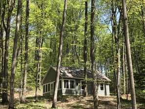 Summer time as you drive up to the cabin