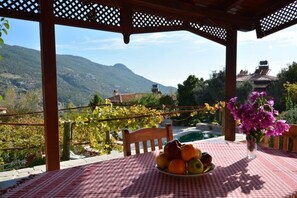Terras