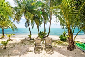 Th Beach and Coconut trees