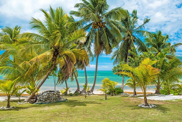 Beach View