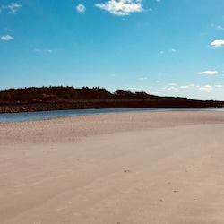Walk to Timber Island low tide and explore the island