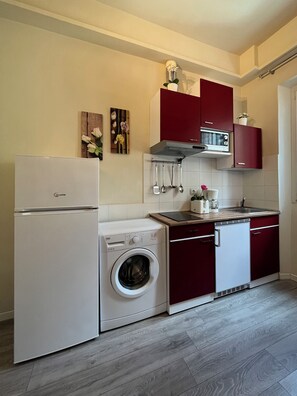2-burner electric stovetop, microwave, large refrigerator with freezer.