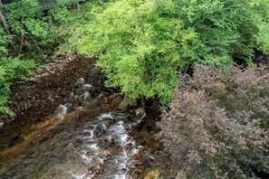 Relax to the sound of the river
