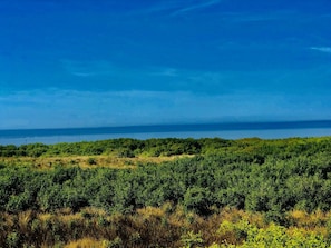 Unimpeded view of the Gulf of Mexico from 2nd Floor.