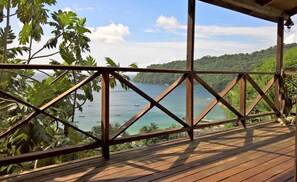 Deck view

