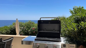 Der neue, grosse Weber Genesis II Gasgrill (seit Juni 2021)