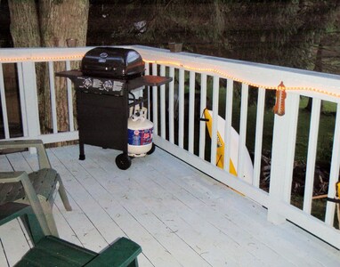 'Cozy Cove' Cottage Rental on Lake Carey