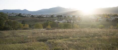 Open Space just behind the house with Pikes Peak view.