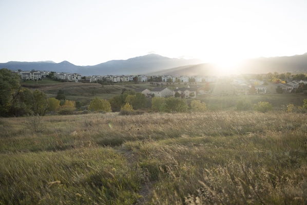 Open Space just behind the house with Pikes Peak view.