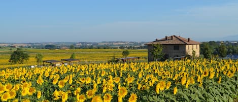 Podere Molinaccio by the road