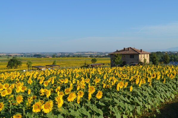 Parco della struttura