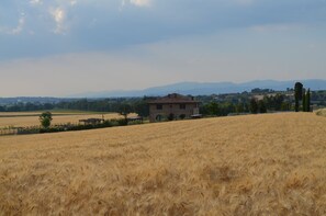 view from the countryside