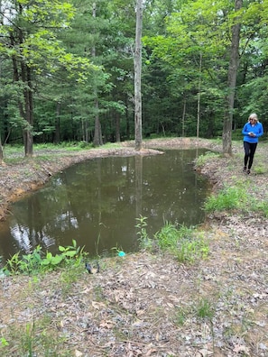 Pond developed in late 2024. As it is expanded it should an attraction for kids