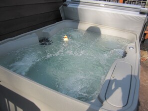 Inviting hot tub! Brand new and seats 4.