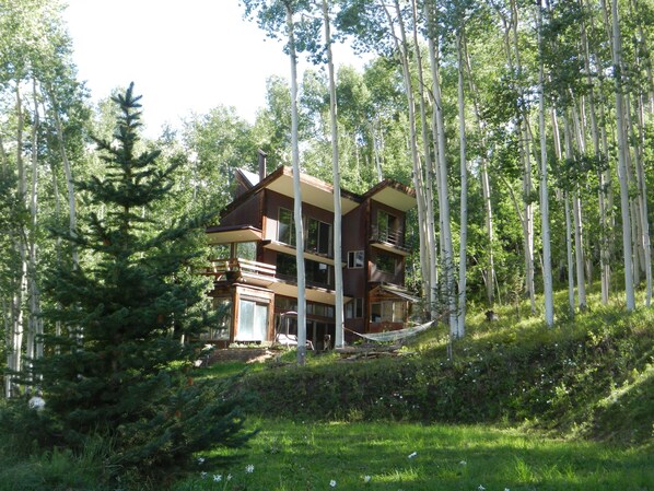 View of house from the yard.