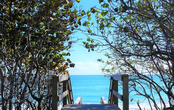 Welcome to Jupiter Beach- A Slice of Beach Heaven!
