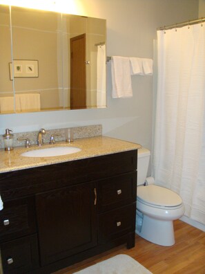 Bath w/Granite Top Vanity and Tub/Shower