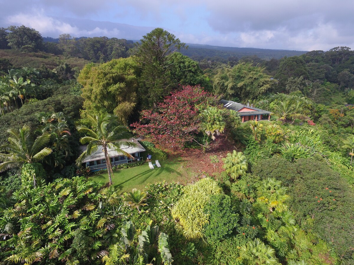 Paradise: Ocean View Cottage Solar Power Tropical Flower Gardens