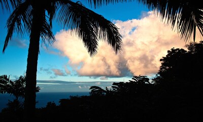 Paradise: Ocean View Cottage Solar Power Tropical Flower Farm