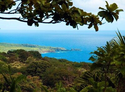 Paradise: Ocean View Cottage Solar Power Tropical Flower Farm