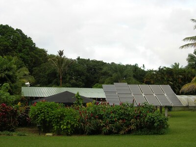 Paradise: Ocean View Cottage Solar Power Tropical Flower Farm