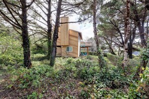 Beautiful Seagull beach house