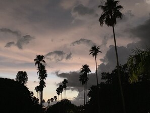Oklassificerad bild, 2 av 30, knapp