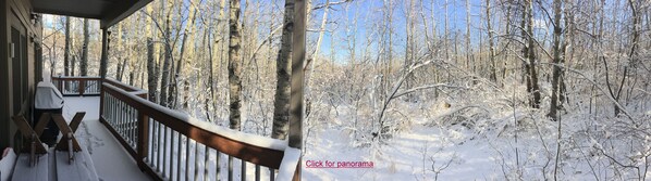(click=pano) Back deck & covered BBQ - more than 180 degrees of aspen seclusion!