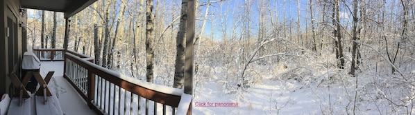 (click=pano) Back deck & covered BBQ - more than 180 degrees of aspen seclusion!