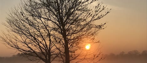 Foggy sunrise - view from Bedrooms Two and Three

