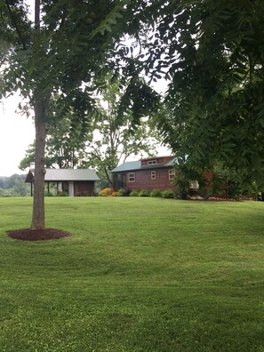 Large yard for dogs to play