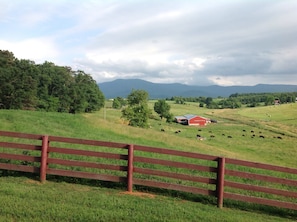 View from front porch
Blue Ridge Mts